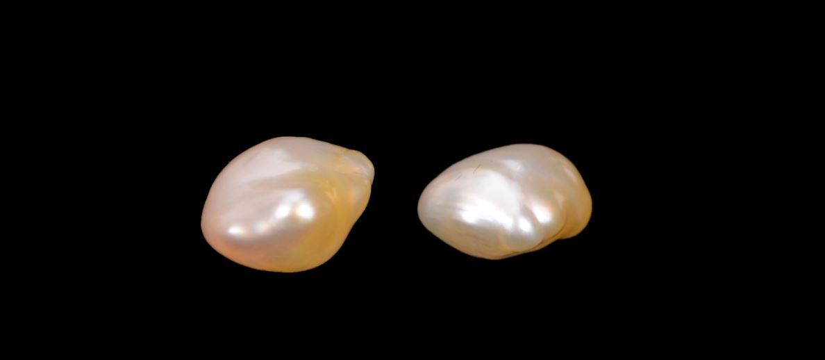 You are currently viewing Rishabhjains.com | Pearl Moti Gemstone Supplier In Ahmedabad, Gujarat, India